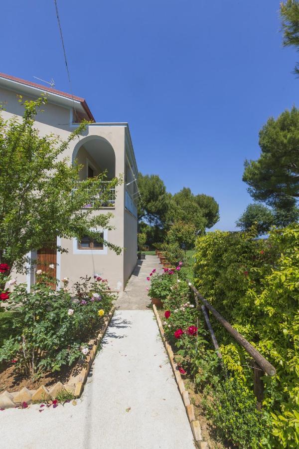 B&B La Casa Di G.G. Grottammare Exteriér fotografie