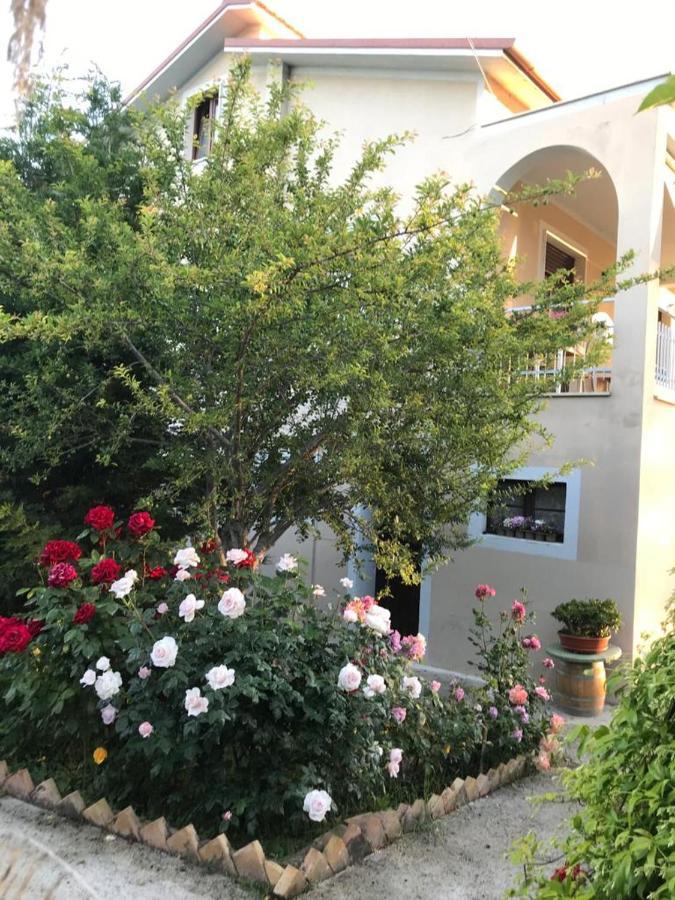 B&B La Casa Di G.G. Grottammare Exteriér fotografie